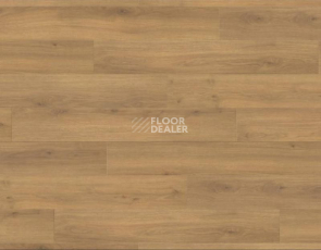 Ламинат Haro Tritty 100 4V ДУБ ЭМИЛИЯ МЕДОВЫЙ 538692 фото 1 | FLOORDEALER